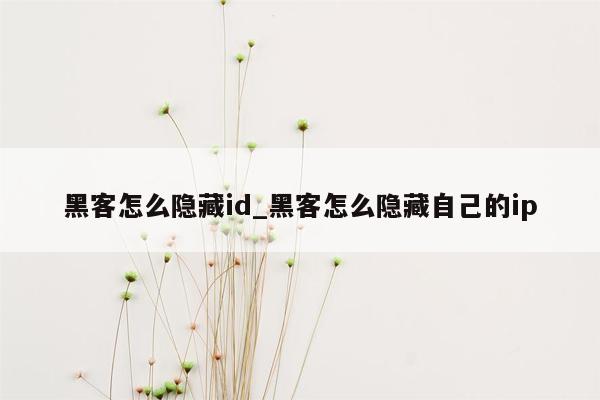 黑客怎么隐藏id_黑客怎么隐藏自己的ip