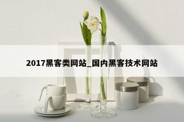 2017黑客类网站_国内黑客技术网站