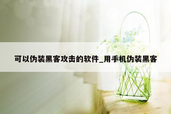 可以伪装黑客攻击的软件_用手机伪装黑客