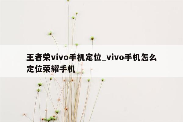 王者荣vivo手机定位_vivo手机怎么定位荣耀手机