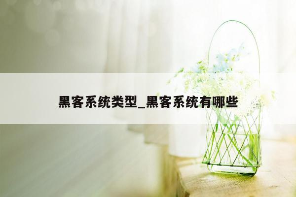 黑客系统类型_黑客系统有哪些