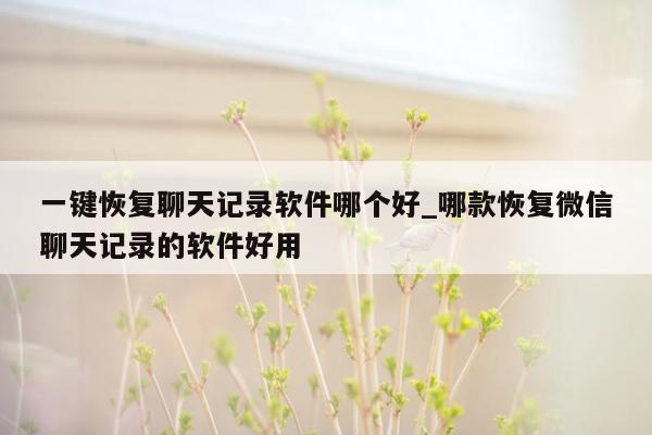 一键恢复聊天记录软件哪个好_哪款恢复微信聊天记录的软件好用