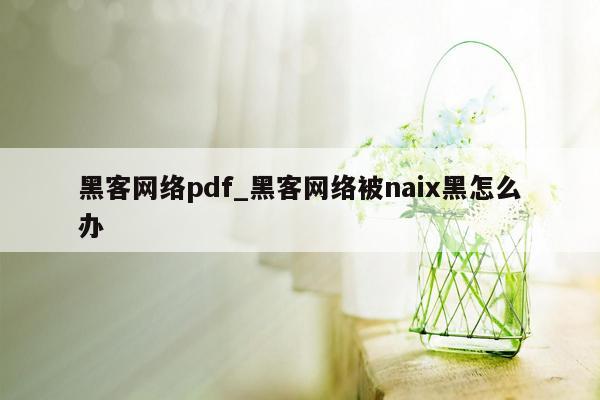 黑客网络pdf_黑客网络被naix黑怎么办