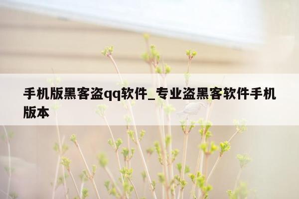 手机版黑客盗qq软件_专业盗黑客软件手机版本