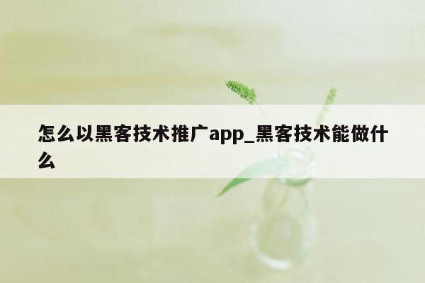 怎么以黑客技术推广app_黑客技术能做什么