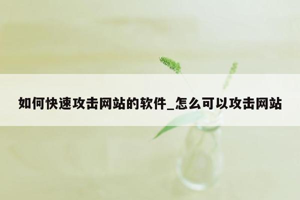 如何快速攻击网站的软件_怎么可以攻击网站