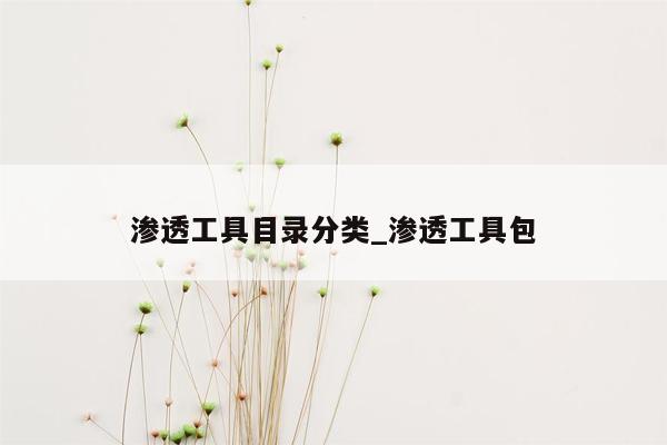 渗透工具目录分类_渗透工具包