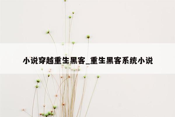 小说穿越重生黑客_重生黑客系统小说