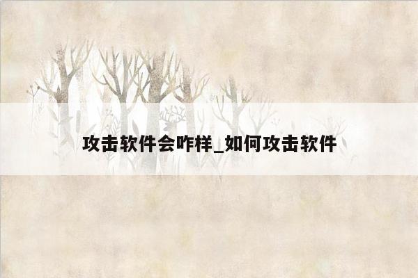 攻击软件会咋样_如何攻击软件