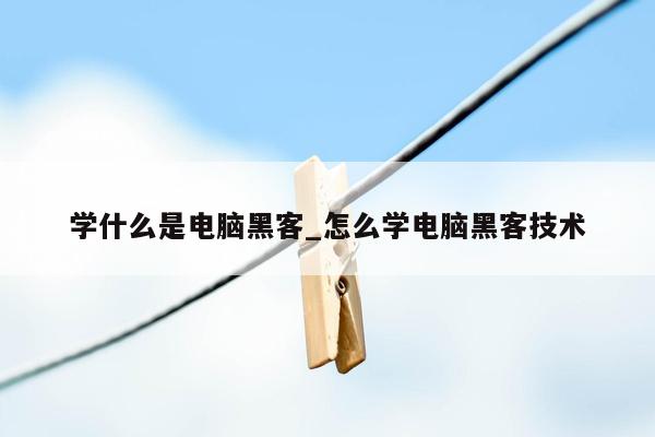 学什么是电脑黑客_怎么学电脑黑客技术