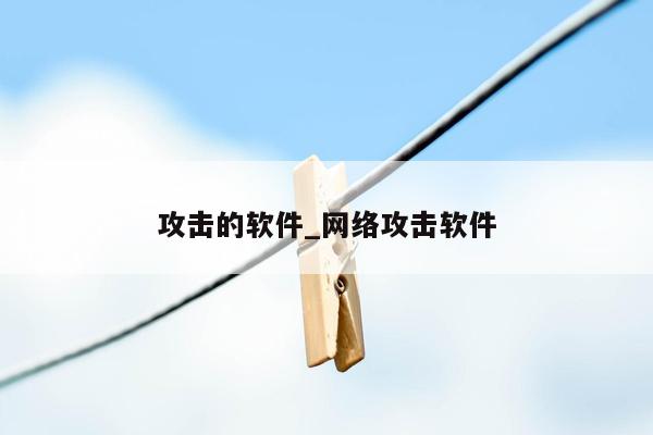 攻击的软件_网络攻击软件