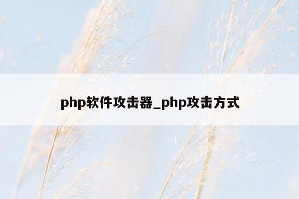 php软件攻击器_php攻击方式