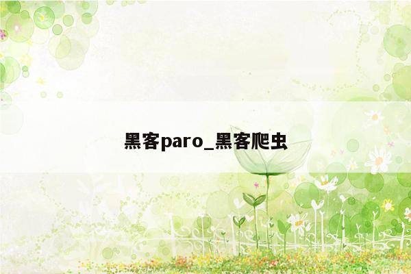 黑客paro_黑客爬虫