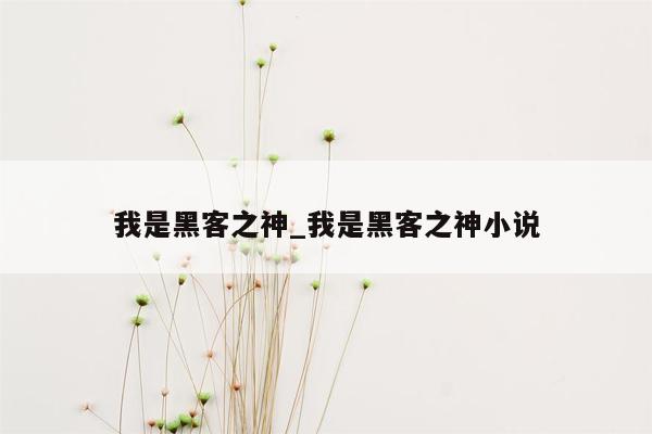 我是黑客之神_我是黑客之神小说