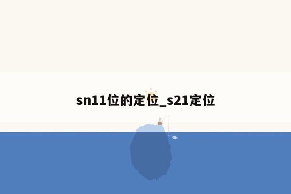 sn11位的定位_s21定位