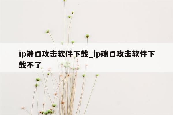 ip端口攻击软件下载_ip端口攻击软件下载不了