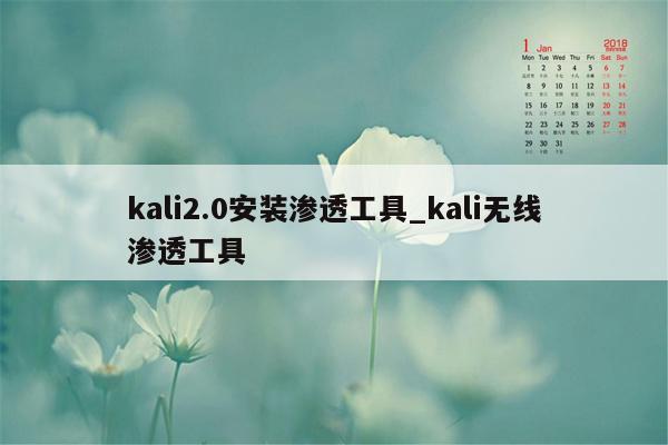 kali2.0安装渗透工具_kali无线渗透工具