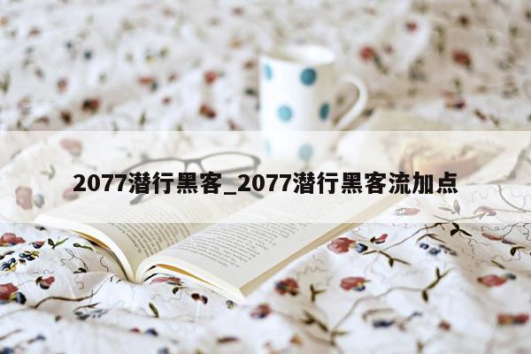 2077潜行黑客_2077潜行黑客流加点