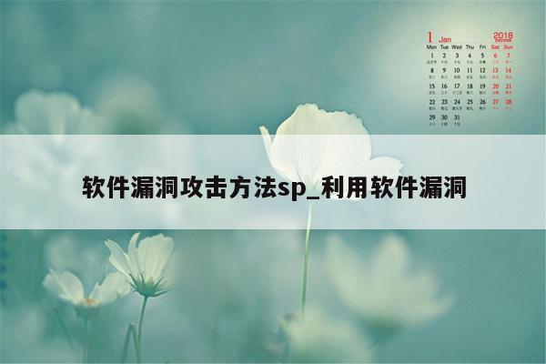 软件漏洞攻击方法sp_利用软件漏洞