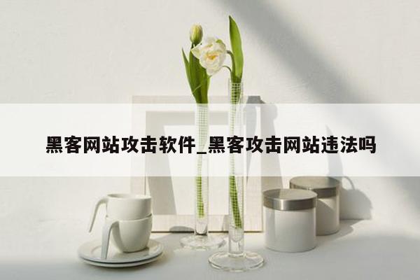 黑客网站攻击软件_黑客攻击网站违法吗