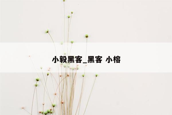 小毅黑客_黑客 小榕