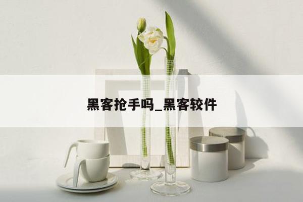 黑客抢手吗_黑客较件