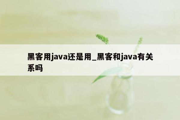 黑客用java还是用_黑客和java有关系吗