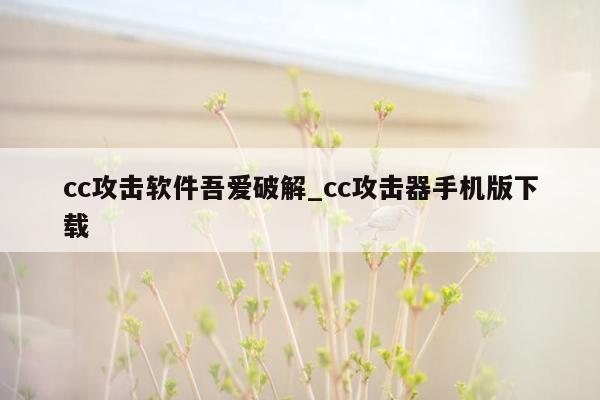 cc攻击软件吾爱破解_cc攻击器手机版下载