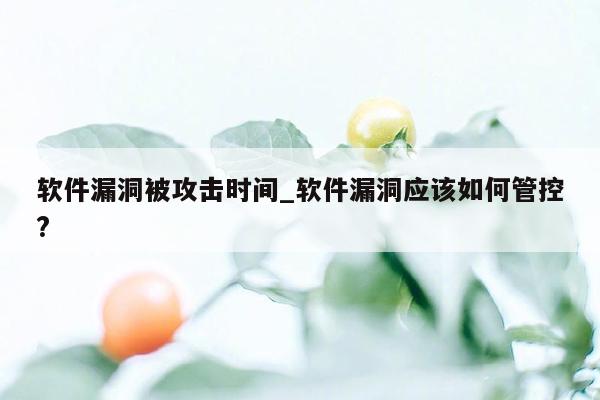 软件漏洞被攻击时间_软件漏洞应该如何管控?