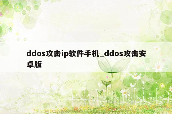 ddos攻击ip软件手机_ddos攻击安卓版