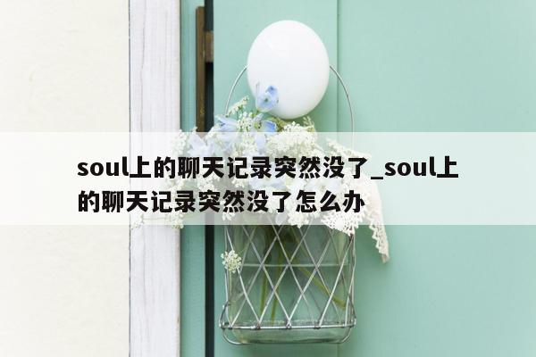 soul上的聊天记录突然没了_soul上的聊天记录突然没了怎么办