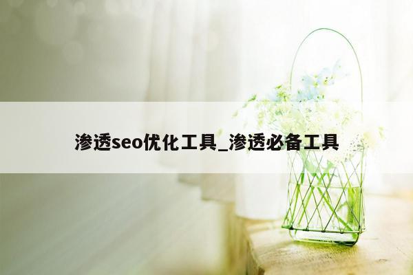 渗透seo优化工具_渗透必备工具