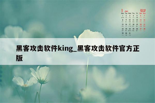 黑客攻击软件king_黑客攻击软件官方正版