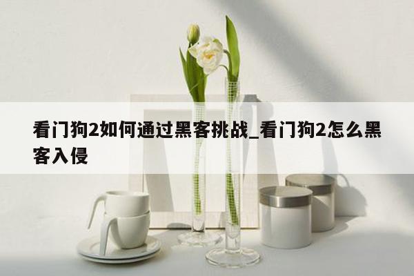 看门狗2如何通过黑客挑战_看门狗2怎么黑客入侵