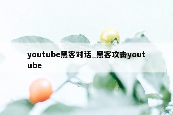 youtube黑客对话_黑客攻击youtube