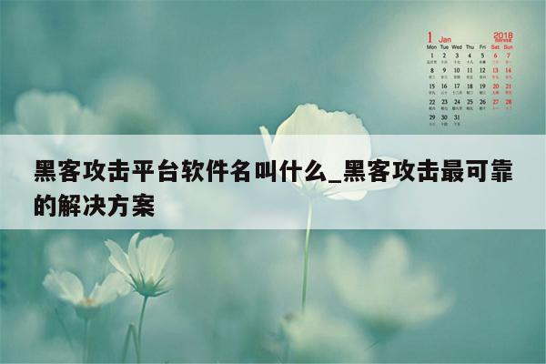 黑客攻击平台软件名叫什么_黑客攻击最可靠的解决方案