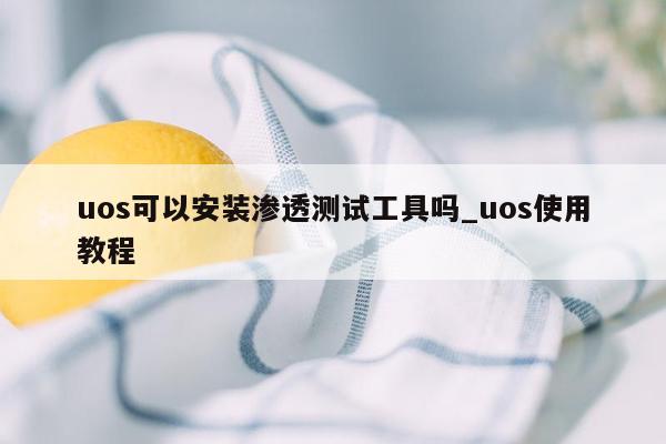 uos可以安装渗透测试工具吗_uos使用教程