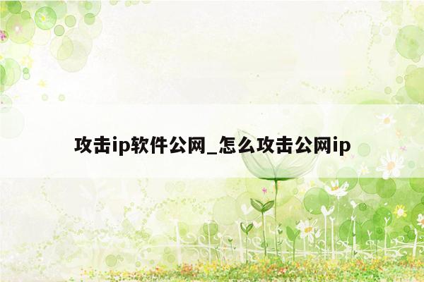 攻击ip软件公网_怎么攻击公网ip