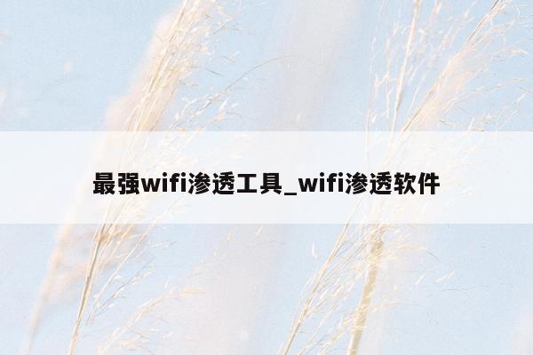 最强wifi渗透工具_wifi渗透软件