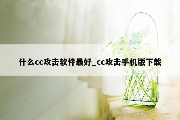 什么cc攻击软件最好_cc攻击手机版下载