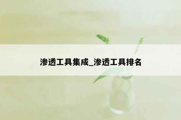 渗透工具集成_渗透工具排名