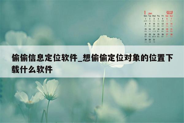 偷偷信息定位软件_想偷偷定位对象的位置下载什么软件