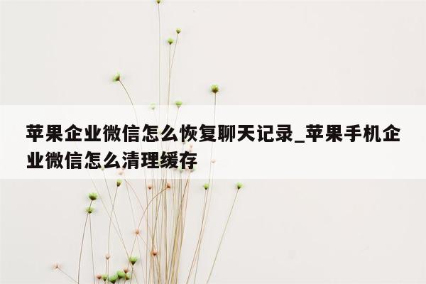 苹果企业微信怎么恢复聊天记录_苹果手机企业微信怎么清理缓存