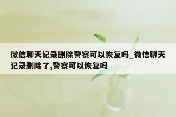 微信聊天记录删除警察可以恢复吗_微信聊天记录删除了,警察可以恢复吗