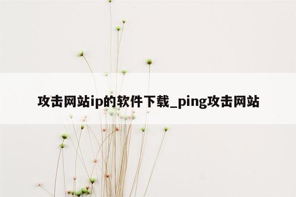 攻击网站ip的软件下载_ping攻击网站