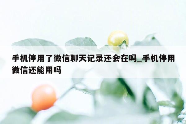 手机停用了微信聊天记录还会在吗_手机停用微信还能用吗