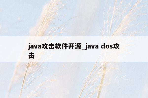 java攻击软件开源_java dos攻击