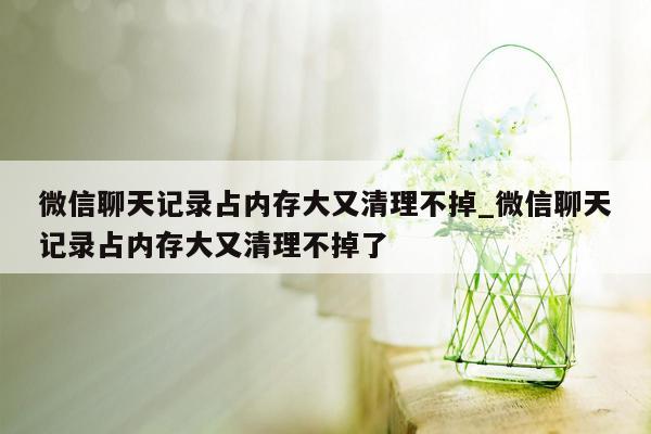 微信聊天记录占内存大又清理不掉_微信聊天记录占内存大又清理不掉了