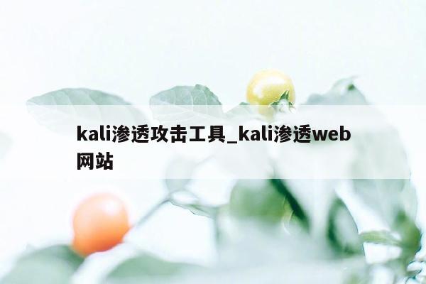 kali渗透攻击工具_kali渗透web网站