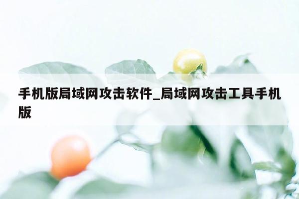 手机版局域网攻击软件_局域网攻击工具手机版